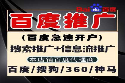 专业SEM托管：成功提升广告效果的案例分析